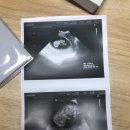 오복산전 이미지