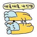 이린헤어 이미지