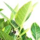 이경미산부인과의원 이미지