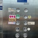 댕타운 네이버블로그