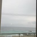 영덕 대형카페 오션뷰 맛집 무브온 커피