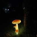 타이어프로 통영죽림점 이미지