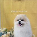 댕곤댕곤 이미지