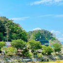 남천제방 이미지