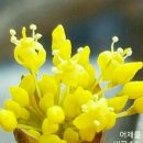 제이모 이미지
