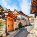 따스한봄날 이미지