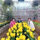 명은여행사 이미지