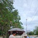 포일농장 이미지