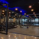 내추럴 짐 이미지