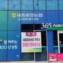 세종특별자치시옥외광고협회 이미지