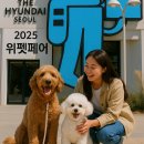 포독스1 | 2025 더현대 위펫페어, 강아지랑 함께 방문 꿀팁 성수EQL(참여 브랜드 &amp; 주차 정보 정리/운영시간/위치...