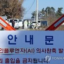 마리농장 이미지