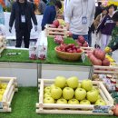 대구경북능금농협 예천사과유통센터 | 23일: 2024 대한민국 과일산업대전 @ AT 센터 다녀와서 뻗은 날. (대구경북능금농협, 국립원예특작과학원)