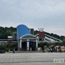 포캣(for cat) | 안산 포캣멍센터 봉사 후기 ( 초보자도 가능, 혼자 봉사도 환영)