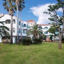 숲속에 바다 이미지