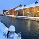 샤프카 | [2월 삿포로 여행] 삿포로 따뜻하고 이쁜 털모자 추천, 인생사진 건지기♥