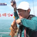 도시어부 이미지