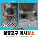 한강동물약품 | 영등포구이사청소, 당산역 한강리버빌 오피스텔 집청소가격