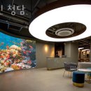 청담수테라피 | 강남 삼성동 미용실 프린 청담 가격 위치