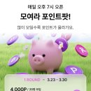 곳고 Daum카페