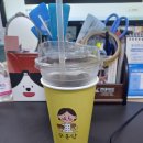 목화반점 이미지