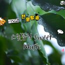 [방송시작] CJ 소풍의 스윗뮤직(가요/발라드)[22:00~Free] 이미지