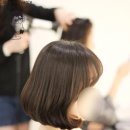 헤어칼리아 이미지