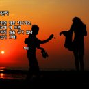 동반자 이미지