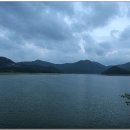 전라도매운탕 이미지