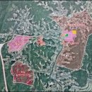 양지-3100 이미지