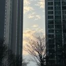 송사부수제쌀고로케월배 이미지