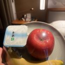 바오휘트니스 | 칭다오 지모고성 [나라다 호텔 리조트 앤 스파] 내돈내산 후기