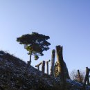 대청호오백리길 대청로하스길 이미지