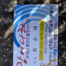2024년3월31일:부천 원미산 진달래 꽃축제 겸 산행 이미지