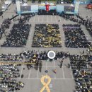 416 이미지