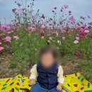 꽃잎어린이집 이미지