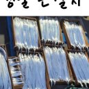 제주수산어벤져스 이미지