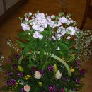 대양물류 이미지