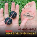 수지침 | 써본 것 중 가장 쎈놈! 진짜 수지침 맞는줄... 뽀족한 손지압기 후기 돌기침 파인메디금침구