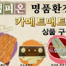 챔피온 전자 이미지