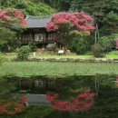 상리길(풍산읍) 이미지