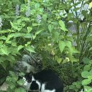 산과들 | [인천/계양/검단] 시골감성 가득 오리주물럭, 백숙 맛집 - 산과들 내돈내산 후기