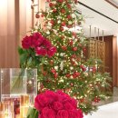 호텔클래식 이미지