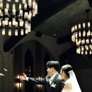 프로메사 이미지