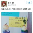 아쿠아 프랜즈 이미지