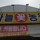 하늘꽃농원 이미지