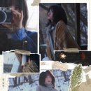 꽃잎앨범
