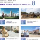 보라인력 이미지