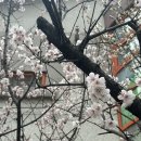 16-A | 인천 산후도우미 추천 추가비용 없이 대만족 후기(참사랑어머니회남인천점)