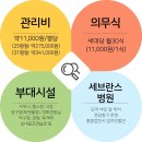 스프링카운티자이 식단 및 팔보채덮밥, 닭볶음탕 풍성한 한 끼 식사 후기 (25년 5월)